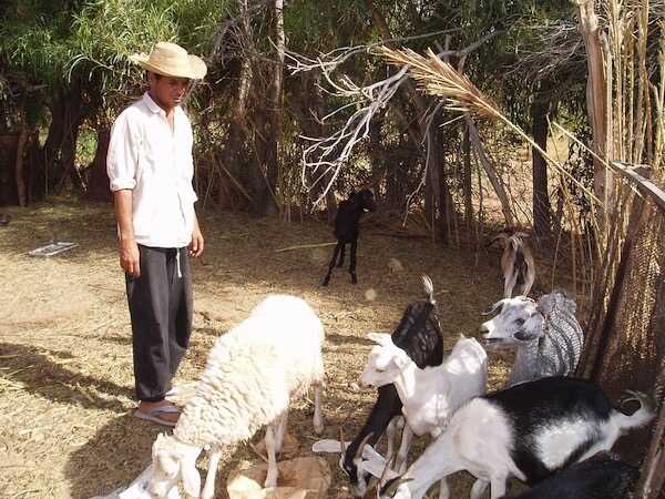 Visuel de Le Paradis perdu d'Ahmed B.