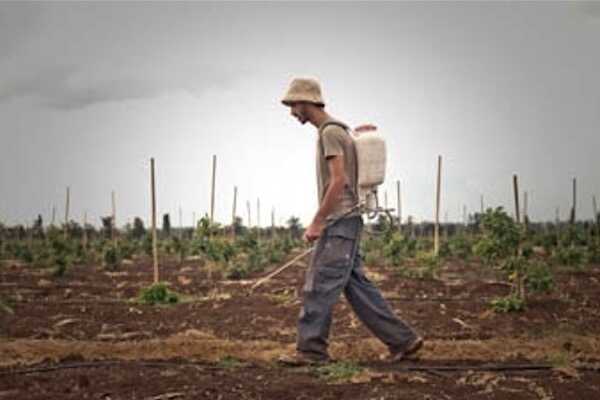 Visuel de Herbicide