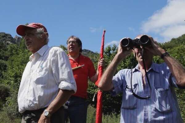 Visuel de La Cigale, le Corbeau et les Poulets